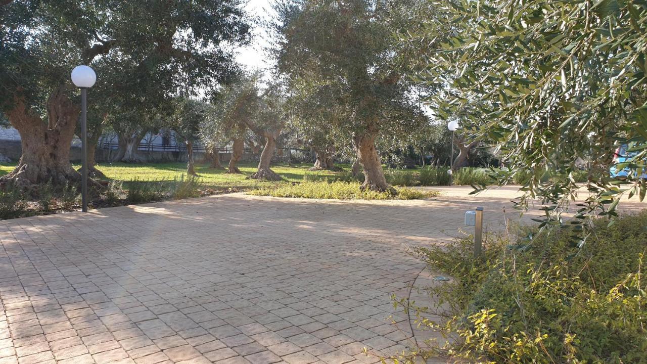 Tra Gli Ulivi Villa Putignano Exterior photo