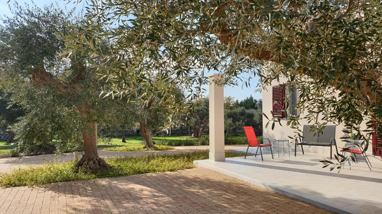 Tra Gli Ulivi Villa Putignano Exterior photo